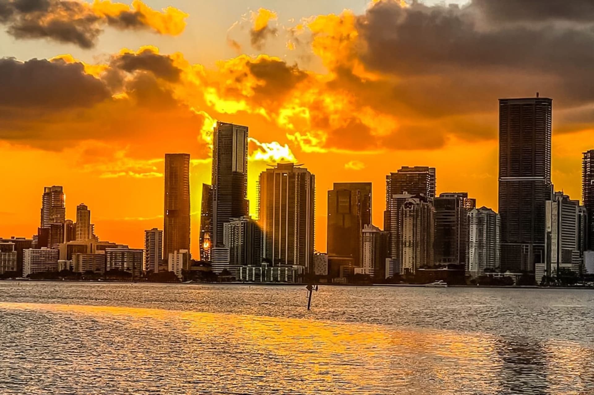 Miami City Half-Day Bus Tour with Optional Cruise - image 10